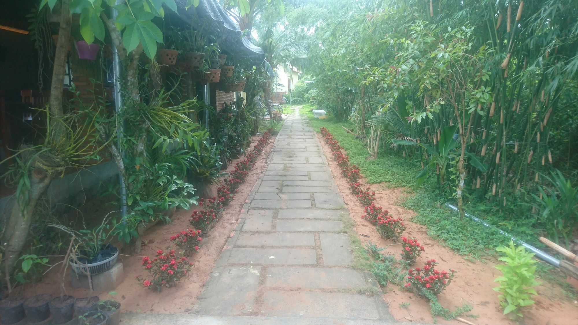 Orchard Fruit Farm Bungalow Фу Куок Екстериор снимка