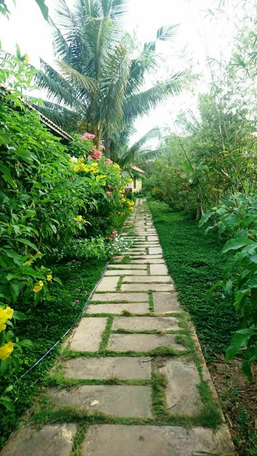 Orchard Fruit Farm Bungalow Фу Куок Екстериор снимка
